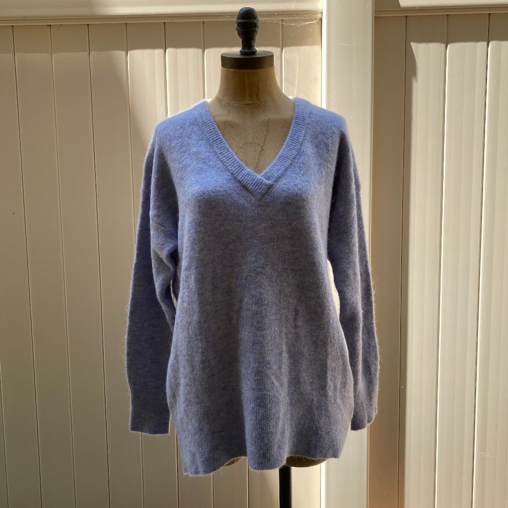 Aritzia Babaton Oversized Sweater